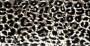 cobber-panther-print